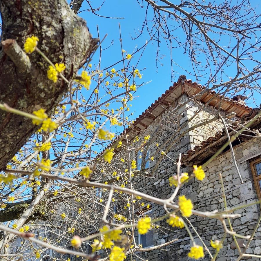 Bujtina Tusha Hotel Priska e Madhe Buitenkant foto