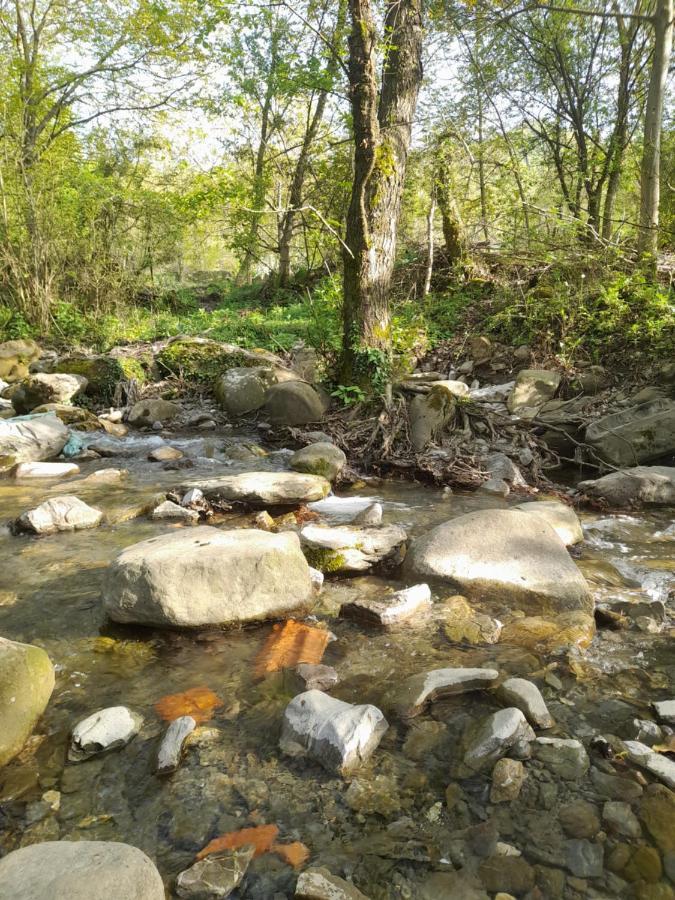 Bujtina Tusha Hotel Priska e Madhe Buitenkant foto