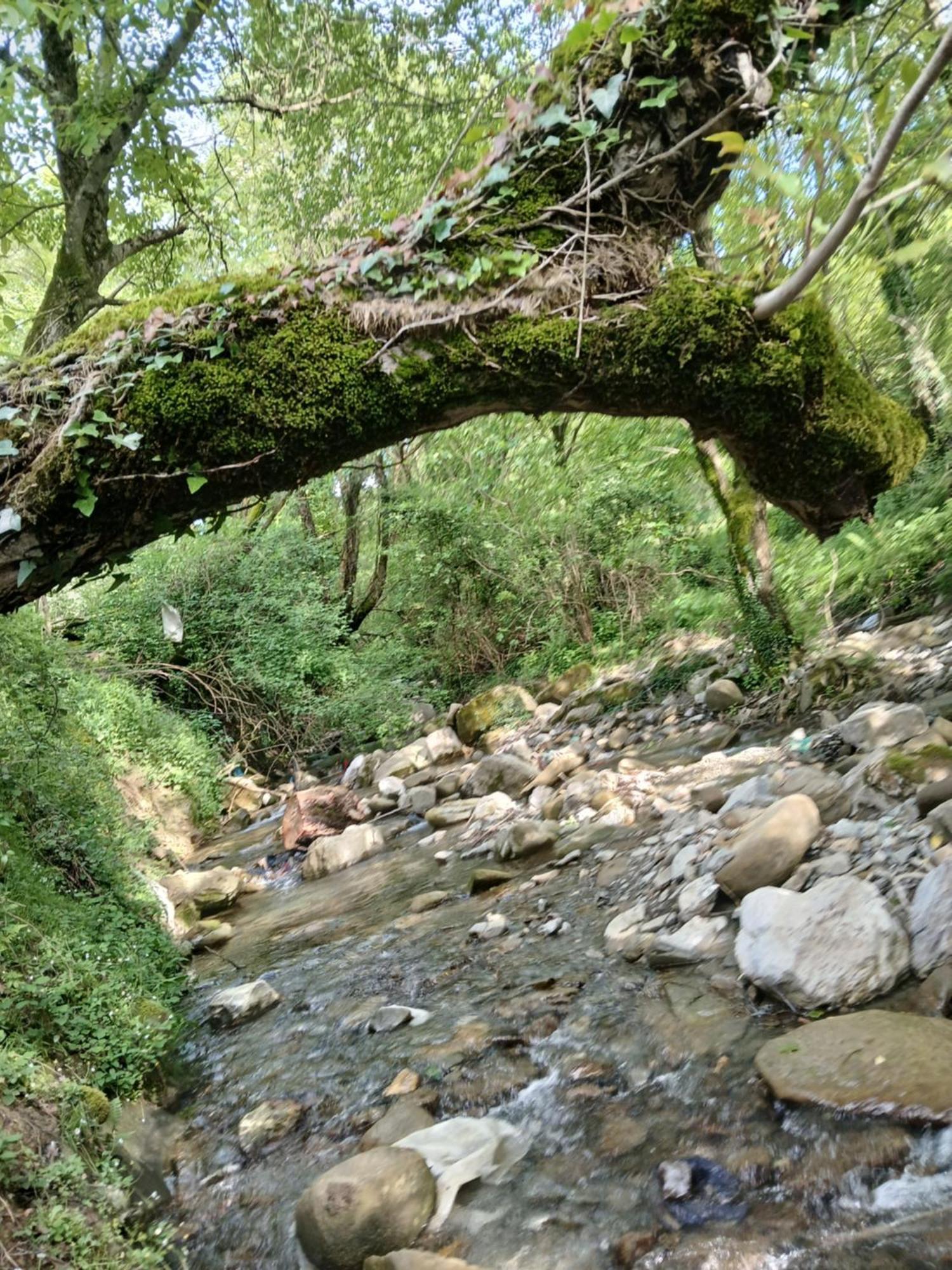 Bujtina Tusha Hotel Priska e Madhe Buitenkant foto