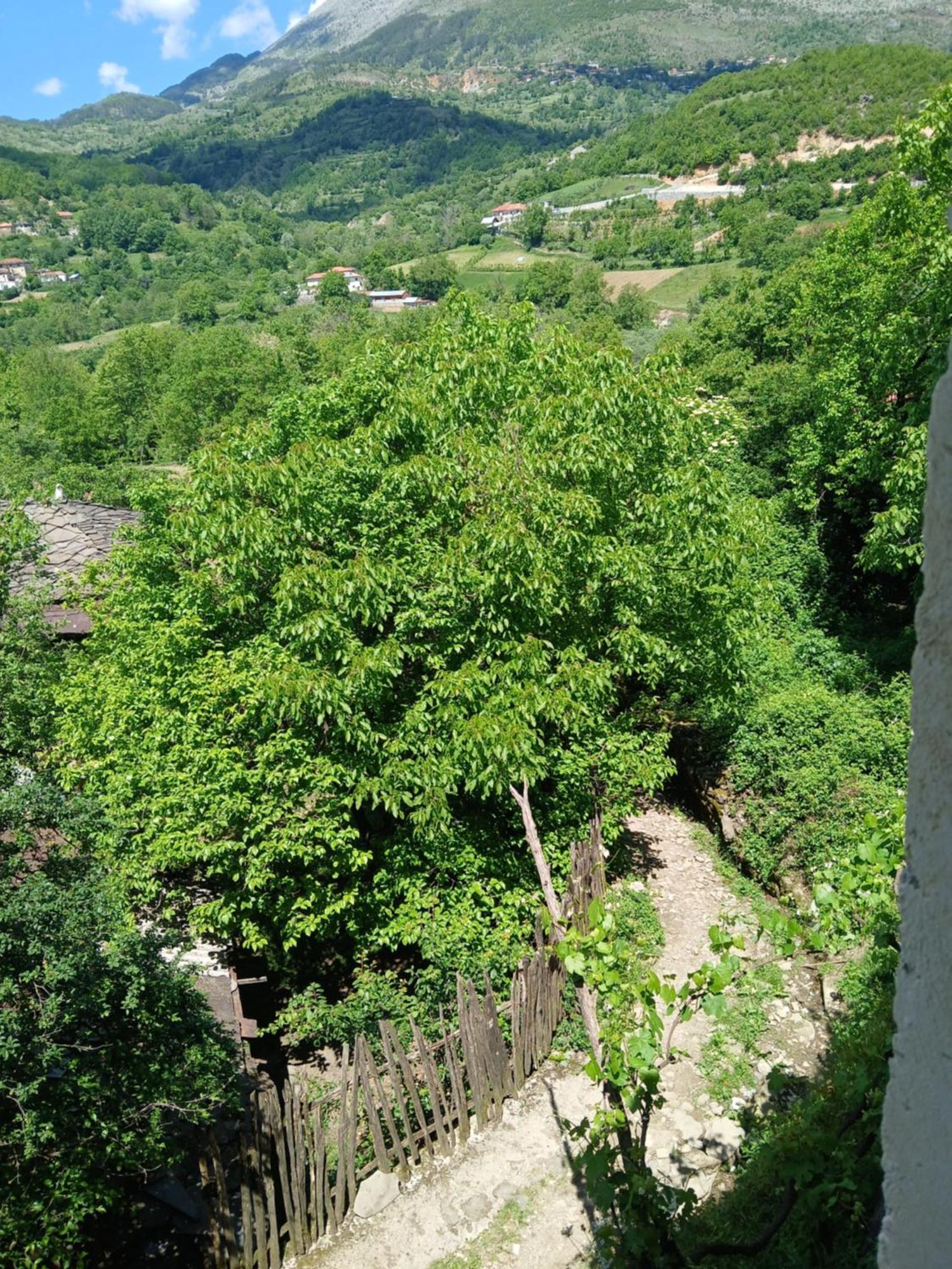 Bujtina Tusha Hotel Priska e Madhe Buitenkant foto