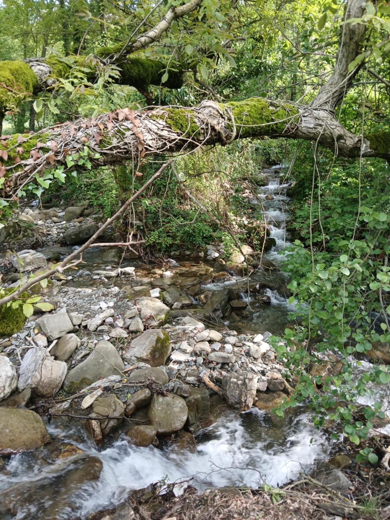 Bujtina Tusha Hotel Priska e Madhe Buitenkant foto