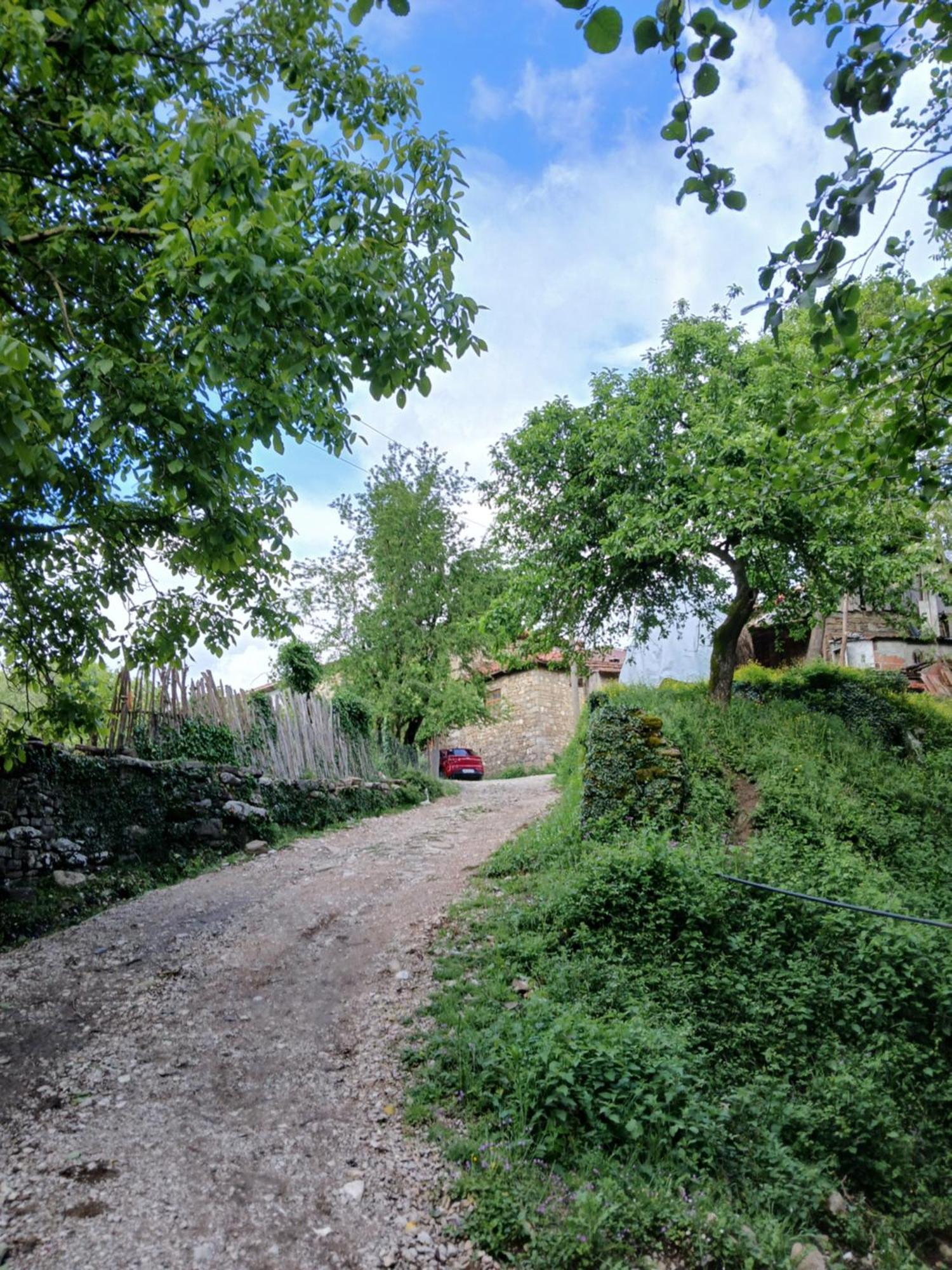 Bujtina Tusha Hotel Priska e Madhe Buitenkant foto