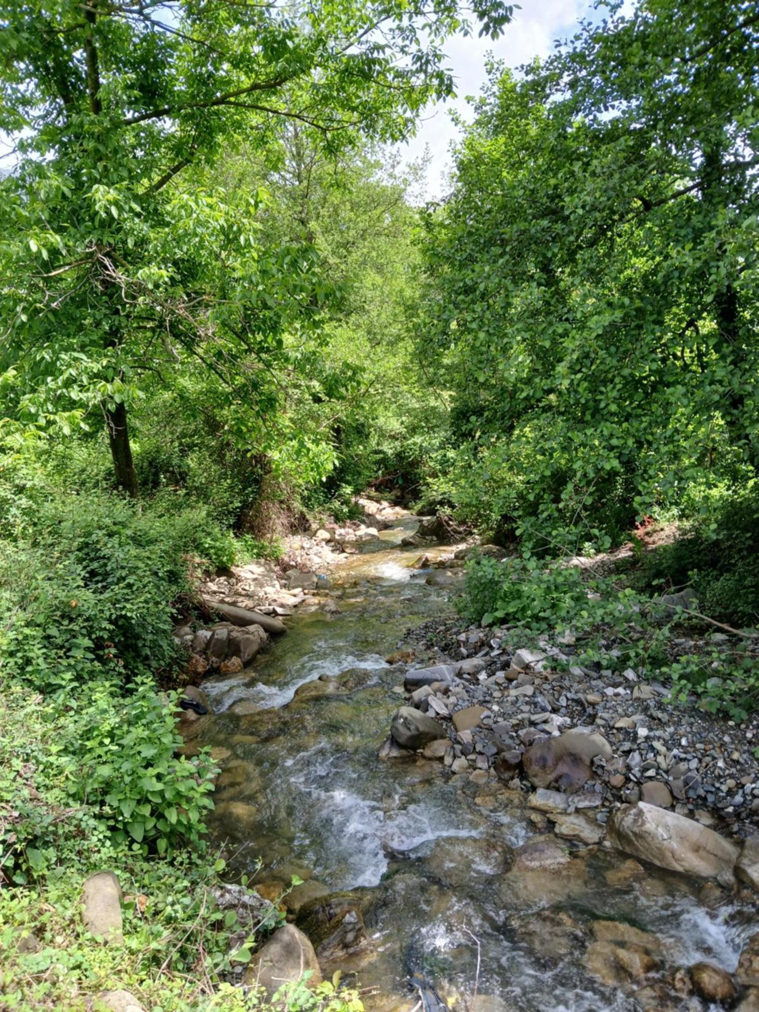 Bujtina Tusha Hotel Priska e Madhe Buitenkant foto